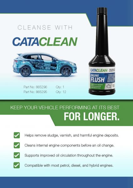 Cataclean Engine Flush Assets
